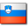 Slovenia flag